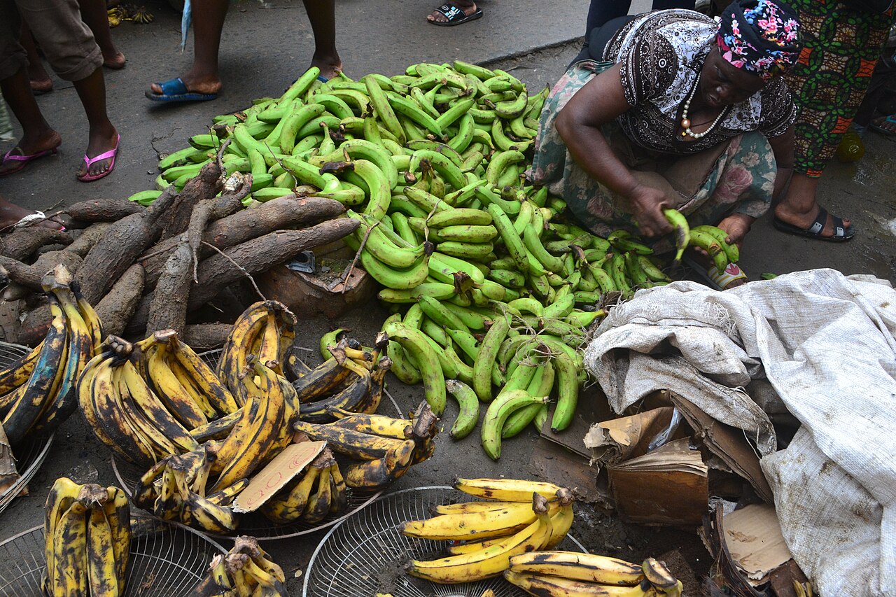 Cooking banana