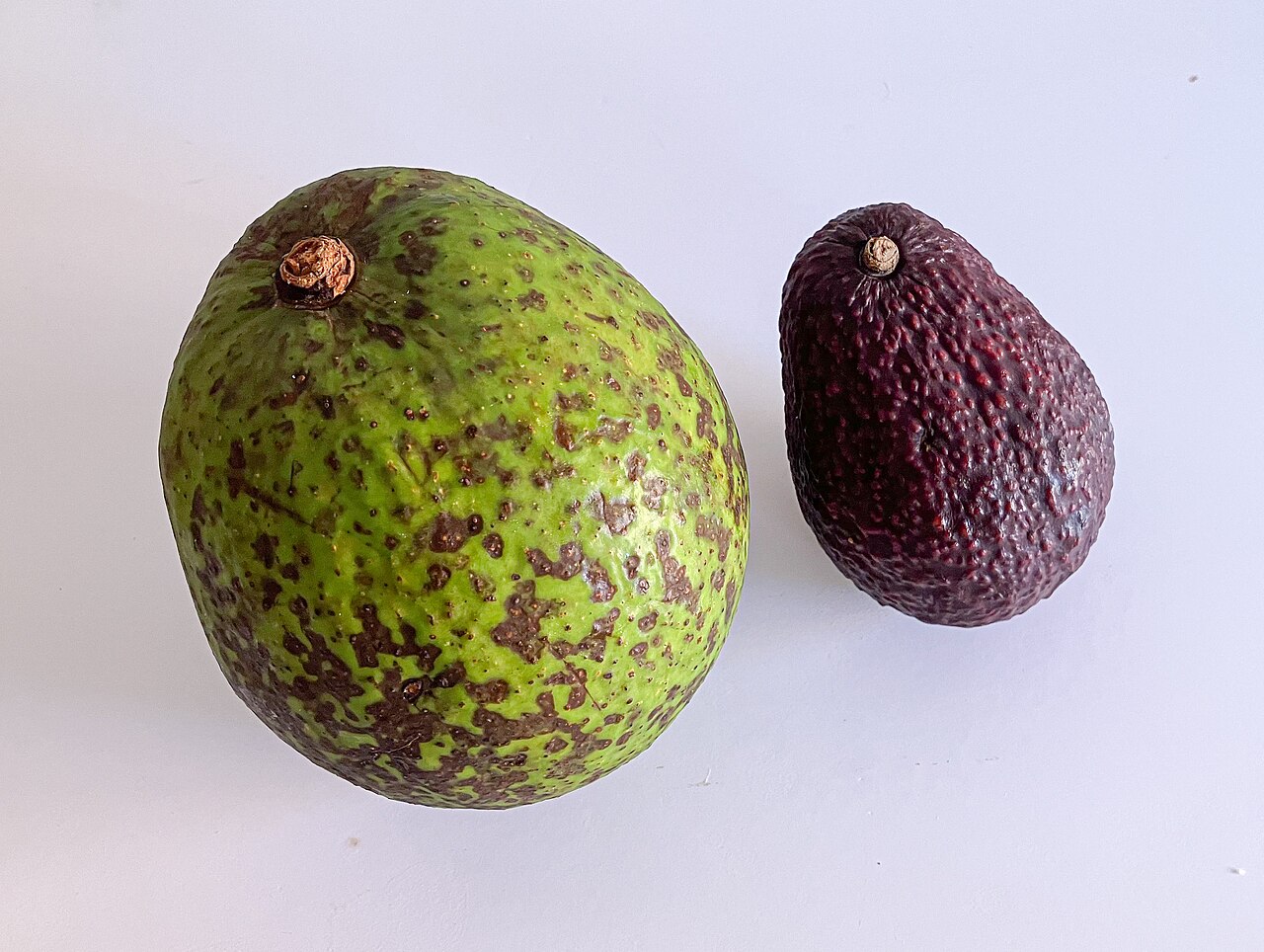 Hass avocado