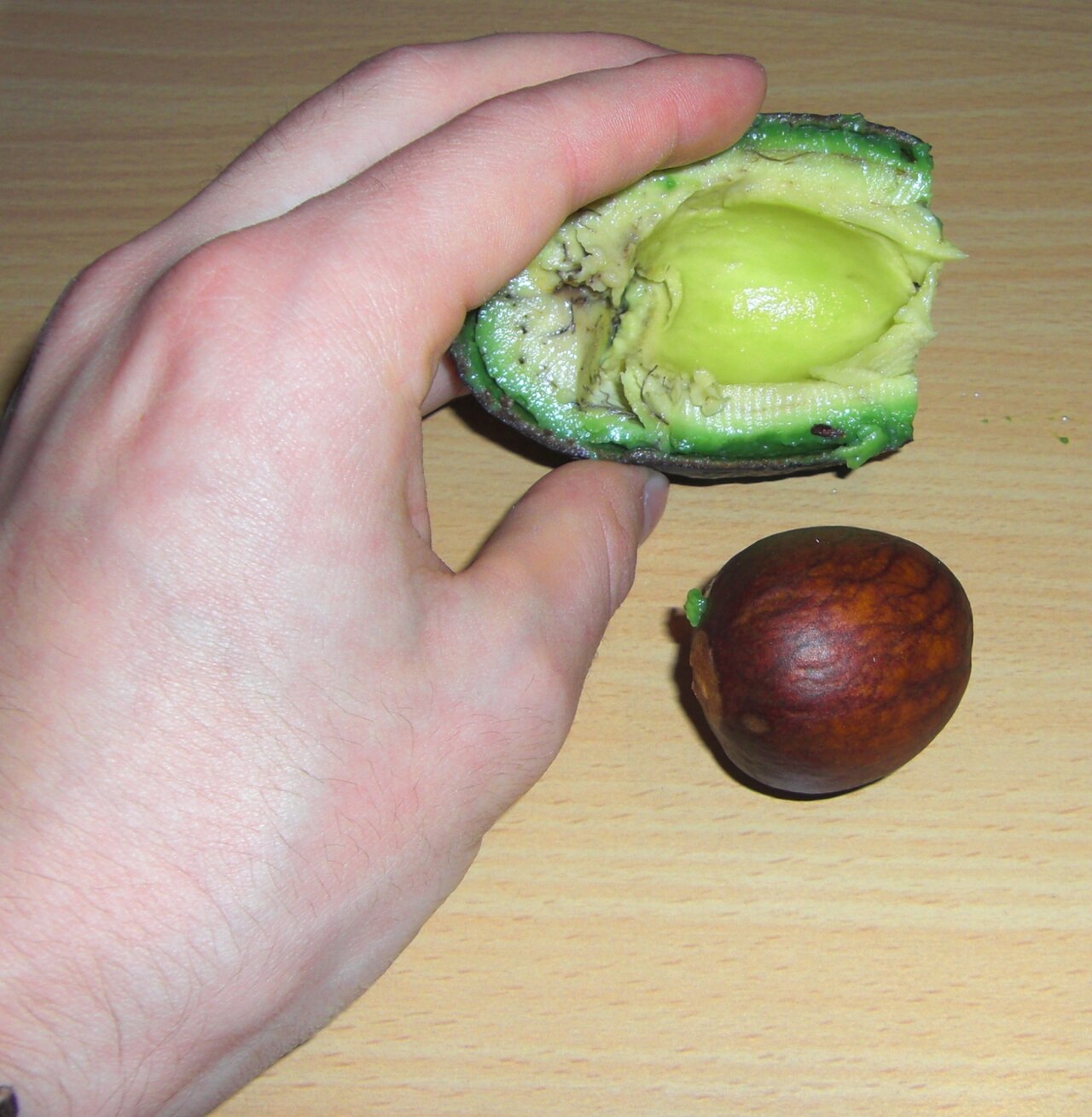 Hass avocado