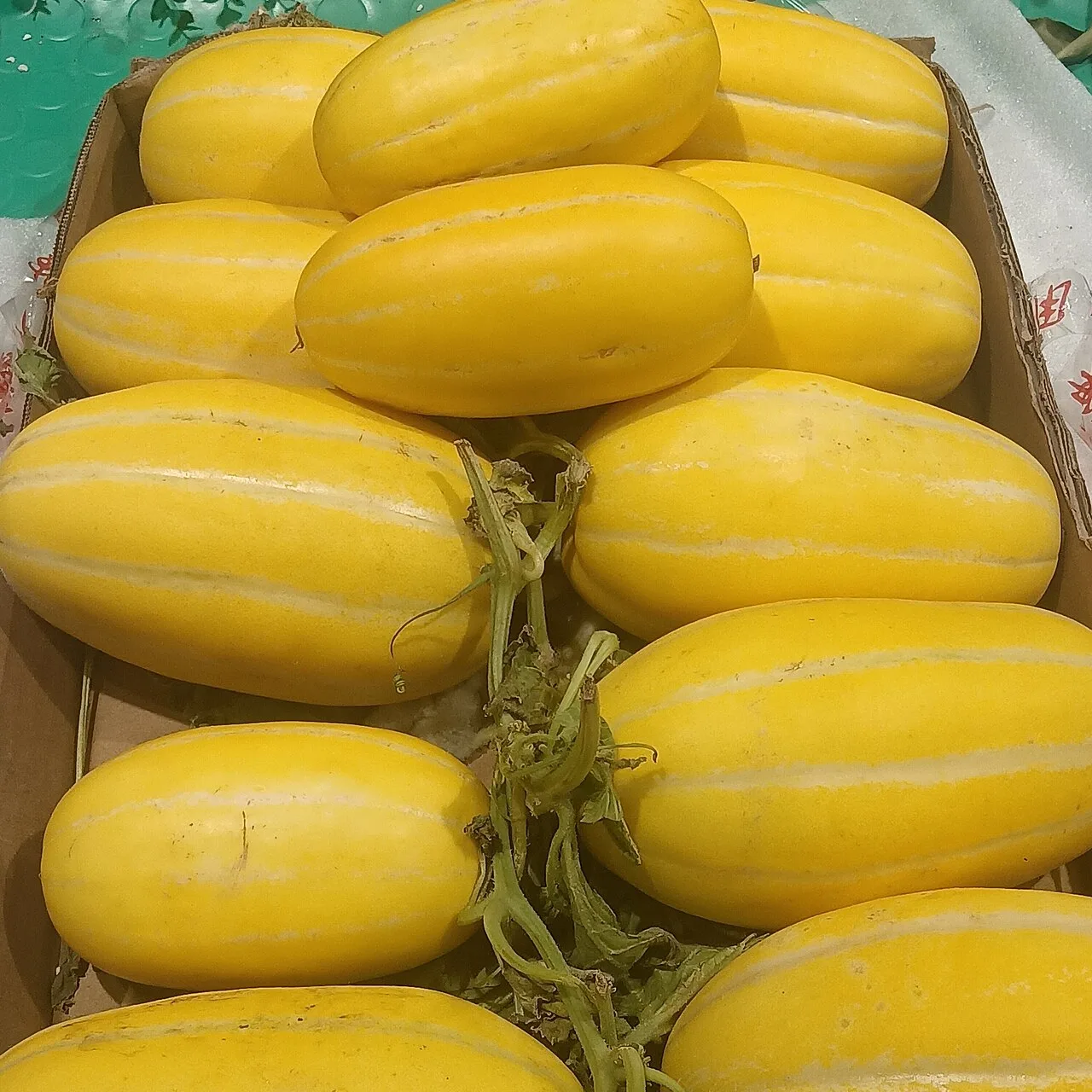 Honeydew (melon)