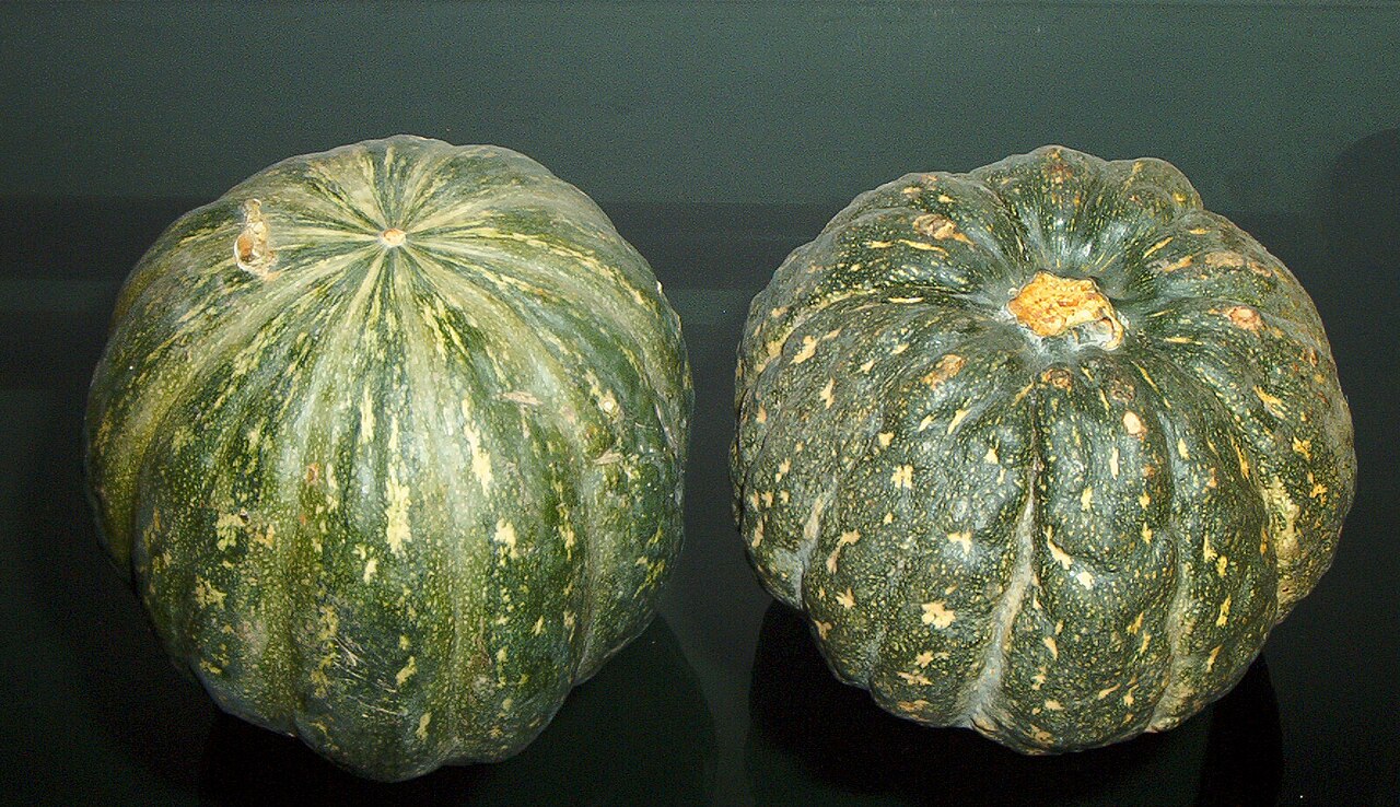 Kabocha