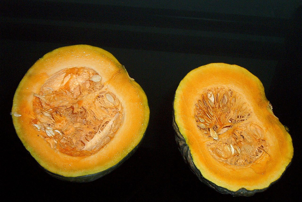 Kabocha