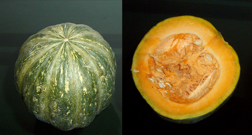 Kabocha