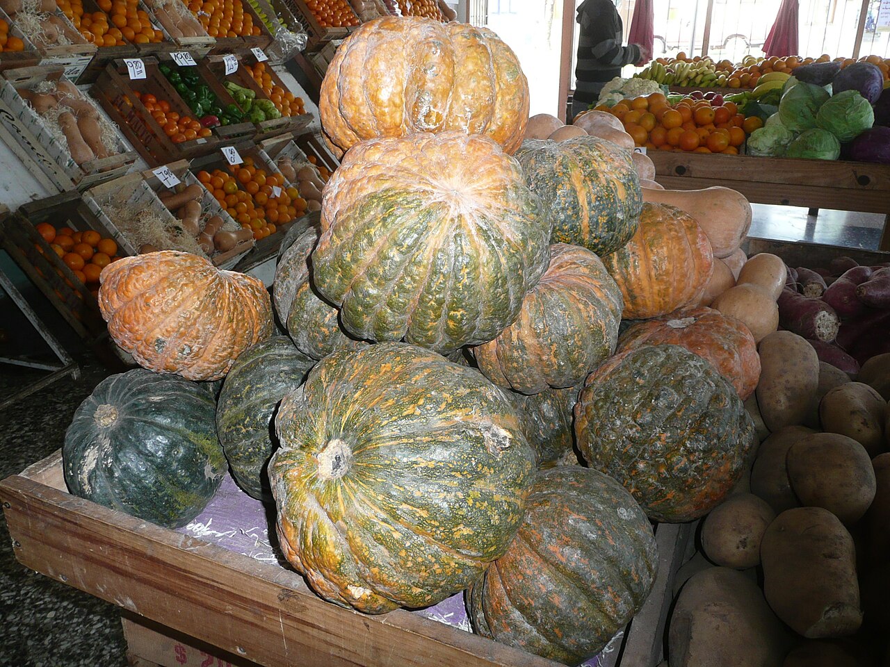 Kabocha