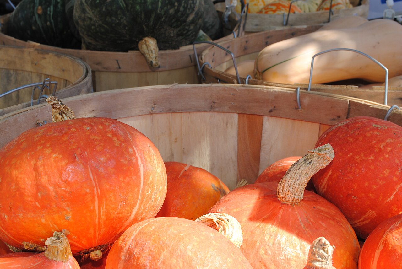 Kabocha